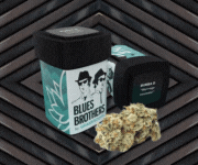 Blues Brother brand banner